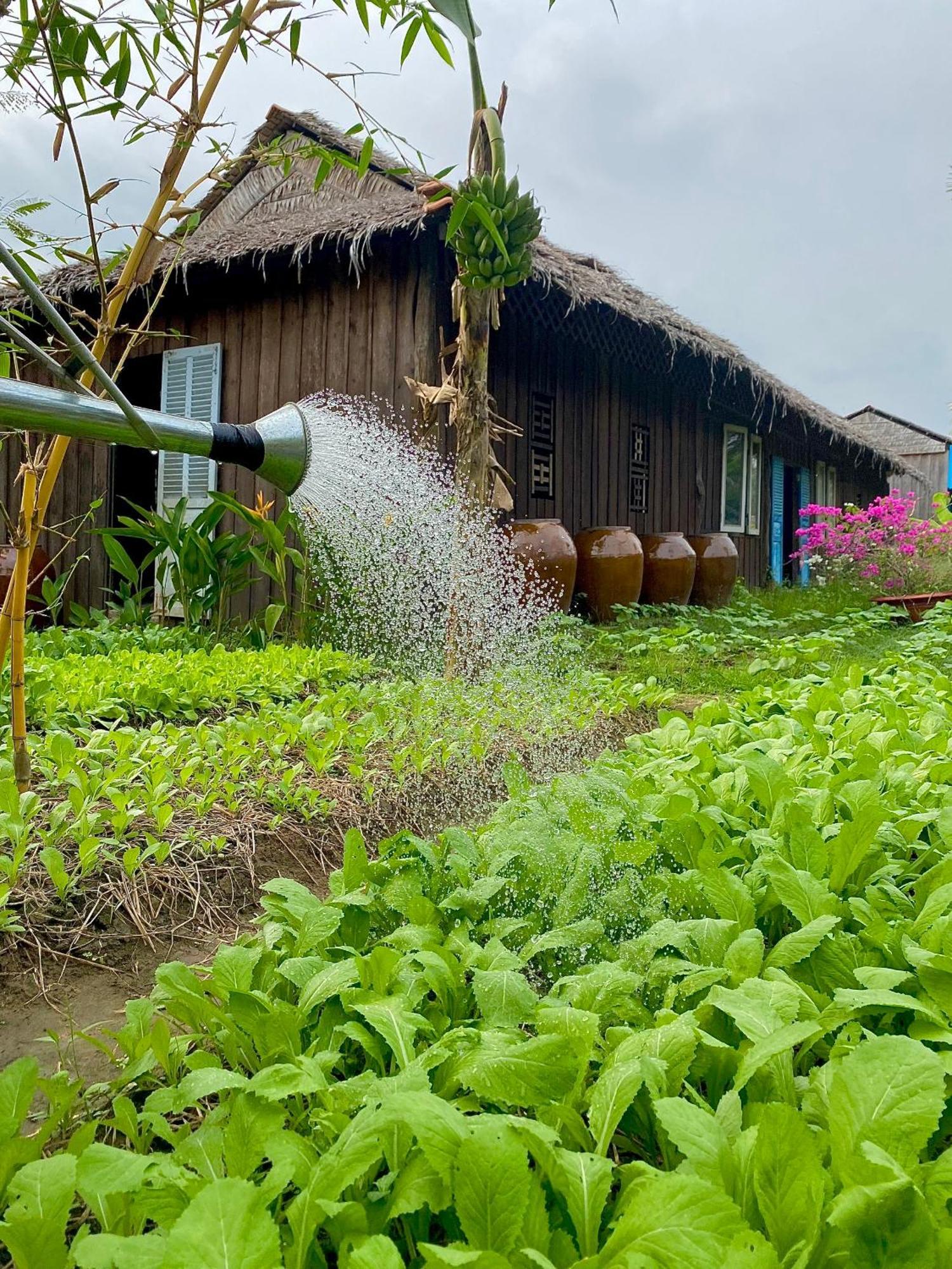 Mekong Silt Ecolodge 껀터 외부 사진