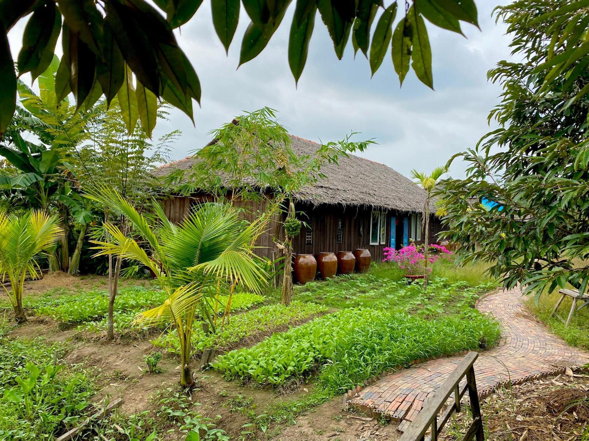 Mekong Silt Ecolodge 껀터 외부 사진