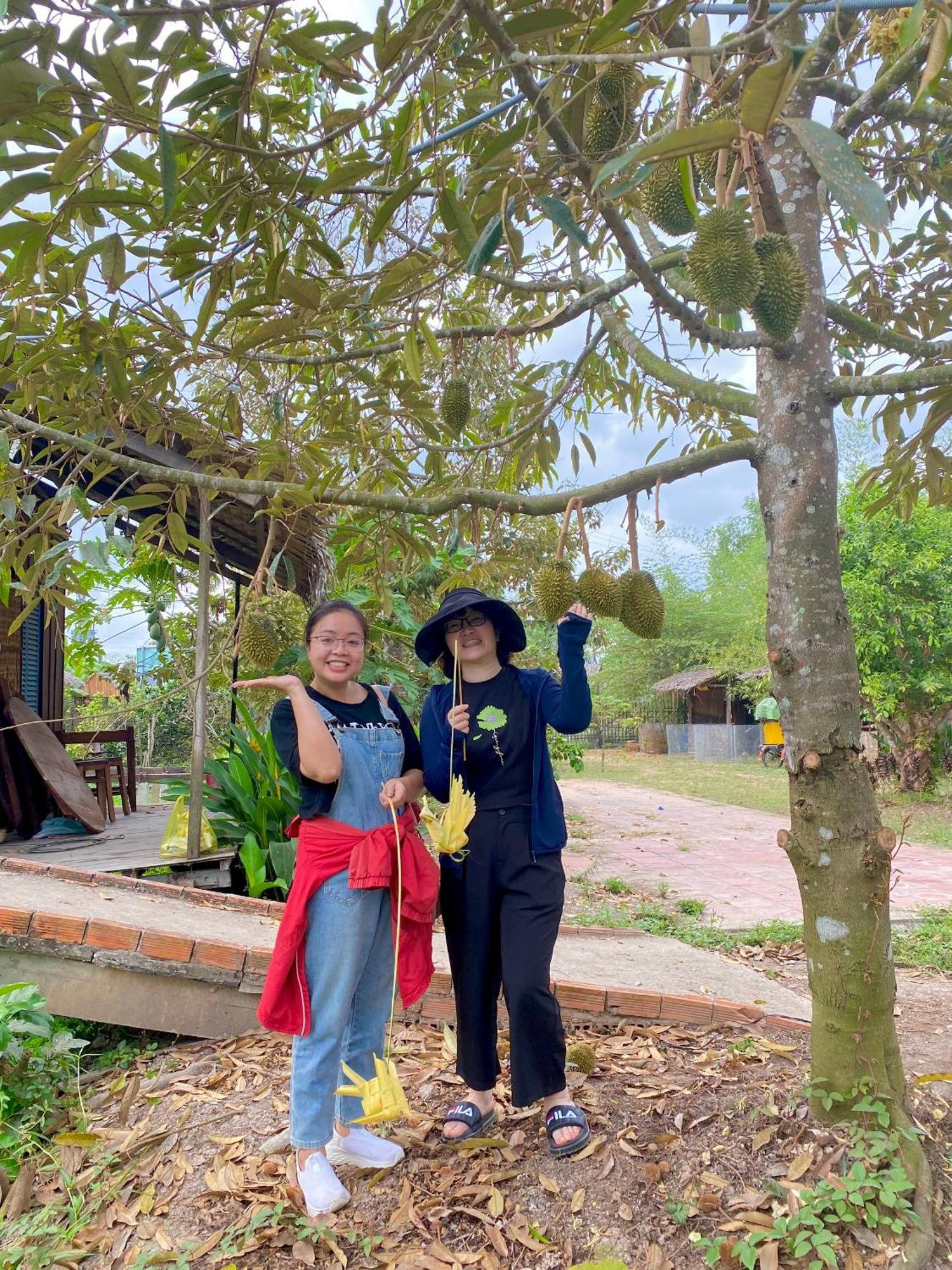Mekong Silt Ecolodge 껀터 외부 사진